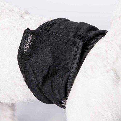 RuttuNuttu Skvättskydd för Hanhund Svart (XS)