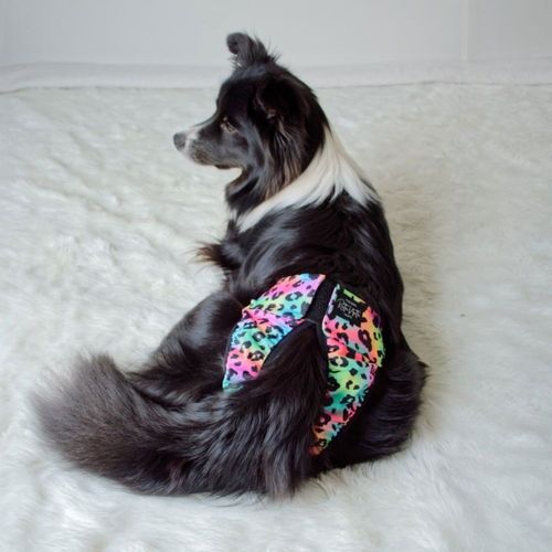 Ruttunuttu Tikskydd Rosa/Blå Leopard (XS)