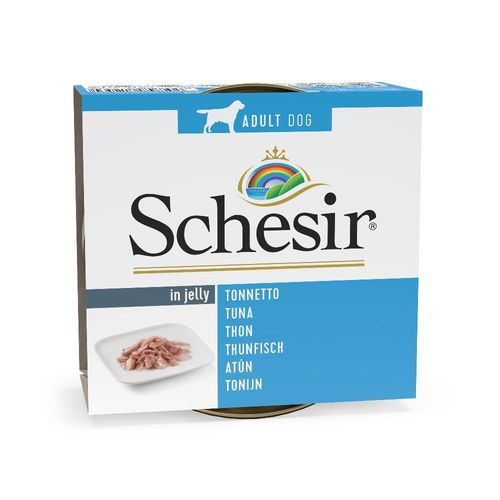 Schesir 6 x 150 g - Tonfisk