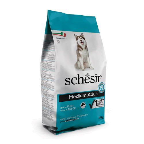 Schesir Dog Dry Medium/Large Maintenance med fisk - Ekonomipack: 2 x 12 kg