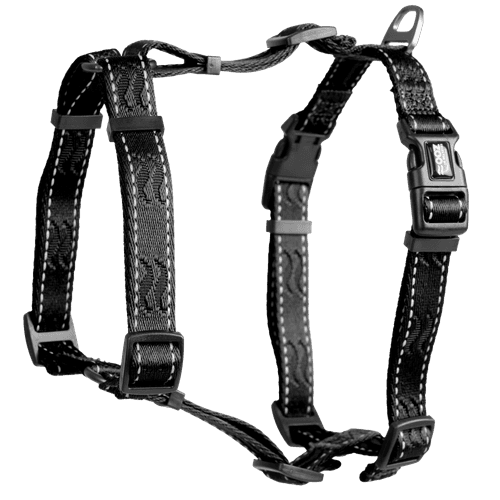 Sele Rufus H-sele ställbar L/XL 25 mm x 100 cm Svart