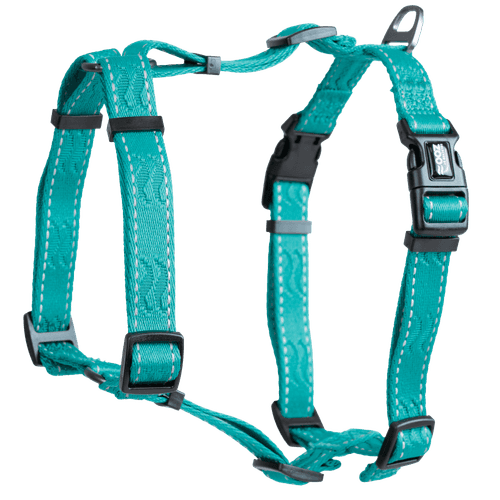 Sele Rufus H-sele ställbar L/XL 25 mm x 100 cm Turkos