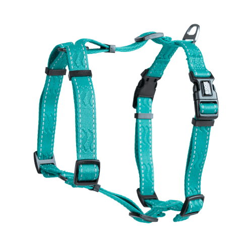 Sele Rufus H-sele ställbar S/M 20 mm x 70 cm Turkos