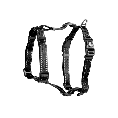 Sele Rufus H-sele ställbar XS/S 15 mm x 50 cm Svart