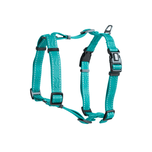 Sele Rufus H-sele ställbar XS/S 15 mm x 50 cm Turkos