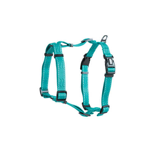 Sele Rufus H-sele ställbar XXS/XS 10 mm x 35 cm Turkos