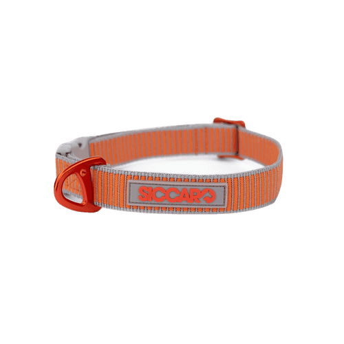 Ställbart halsband Sealines Orange/Silver 36-51 cm