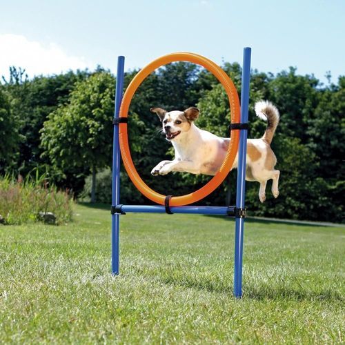 Agility Hoppring