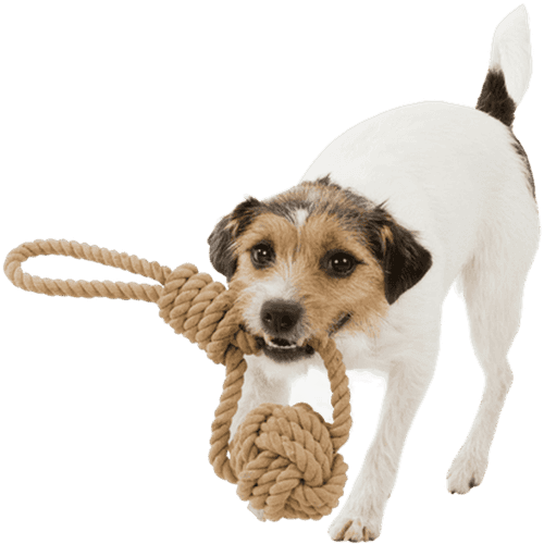 BE NORDIC Playing Rope with Woven-in Ball White Ø 7 cm Längd 20 cm