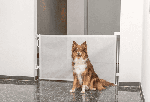 Rullbarriär Hundgrind - Vit