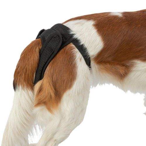 Trixie Comfort Tikskydd i Mesh Svart (L)