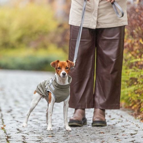 Trixie Pontis Regnjacka med Sele Grön (24 cm)