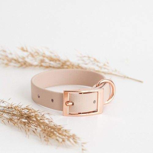 Tyylivoitto Classy Hundhalsband Beige (XS)