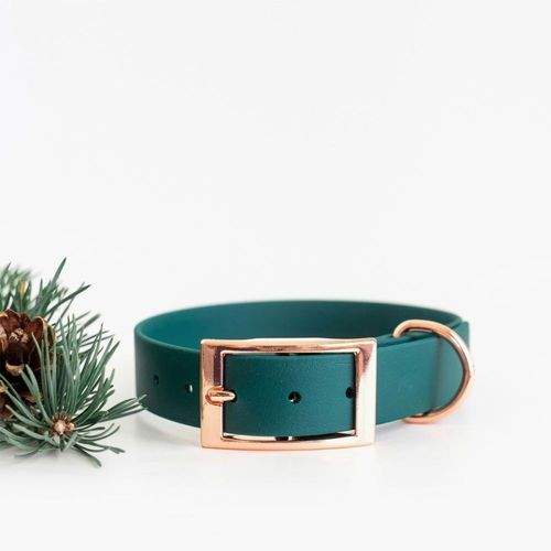 Tyylivoitto Classy Hundhalsband Stor Modell Grön (L)