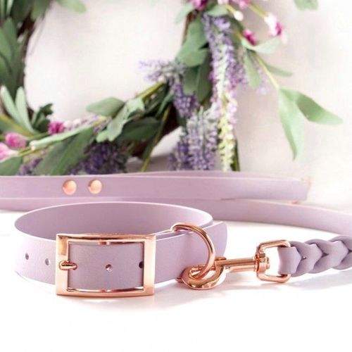 Tyylivoitto Classy Hundhalsband Stor Modell Lila (S)