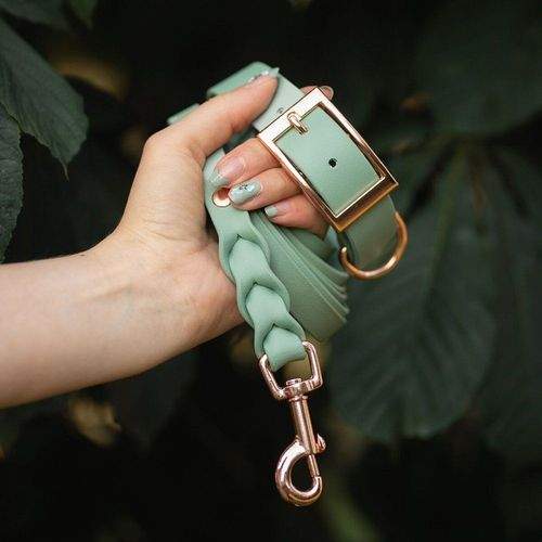 Tyylivoitto Classy Hundhalsband Stor modell Ljusgrön (L)