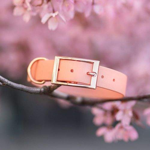 Tyylivoitto Classy Hundhalsband Stor Modell Persika (M)