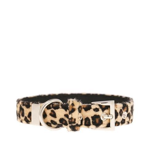 Urban Pup Halsband - Leopard / M