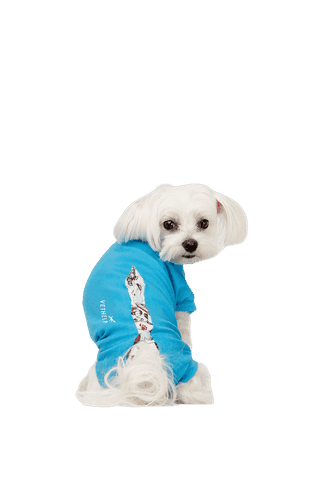 Recovery Suit Blue Hane Nr D4