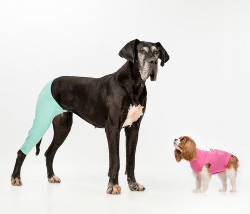 Benskydd Bakben - 3 höger