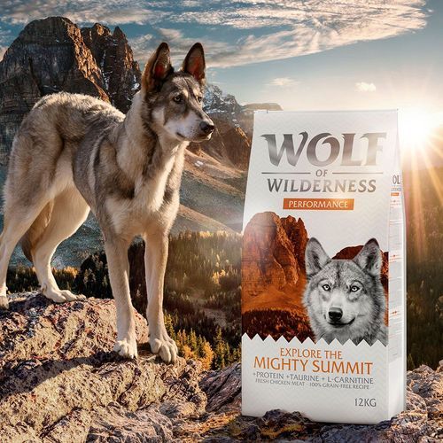 Wolf of Wilderness "Explore The Mighty Summit" Performance - spannmålsfritt - 400 g nytt recept