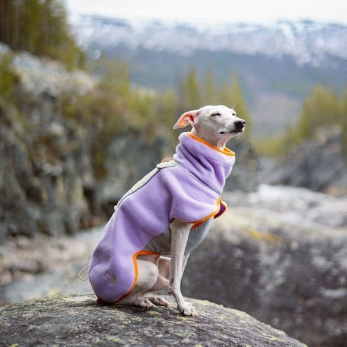 Woolly Wolf Alpha 360 Fleecetäcke Hund Ljuslila (30 cm)