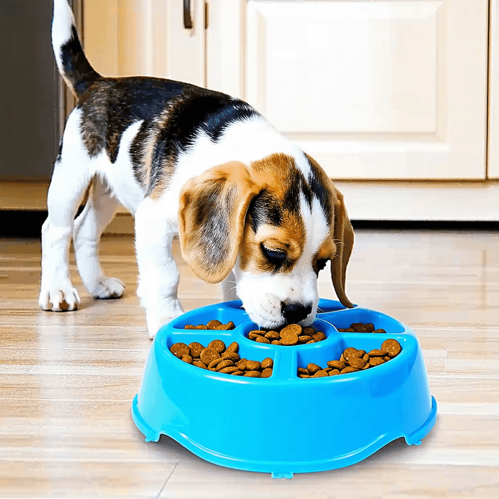 Beagle puppy eating from blue puzzle slow-feeder bowl, promoting healthier eating habits for dogs