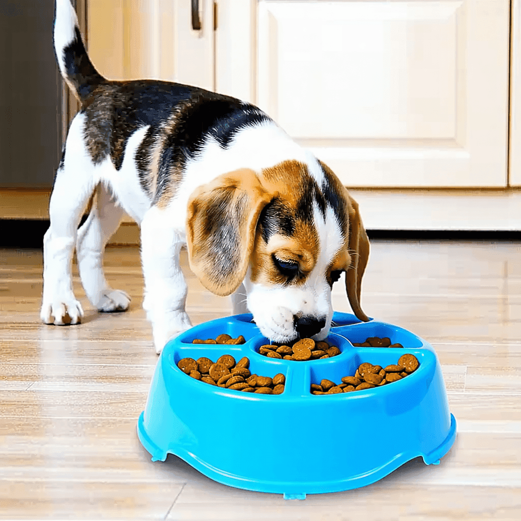 Beagle puppy eating from blue puzzle slow-feeder bowl, promoting healthier eating habits for dogs